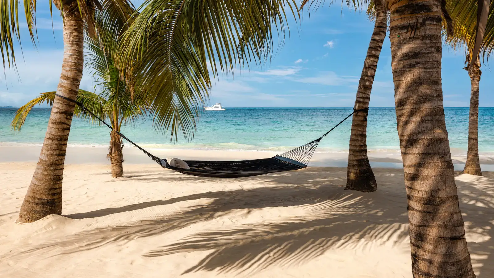 Why Choose BlueWave Getaways