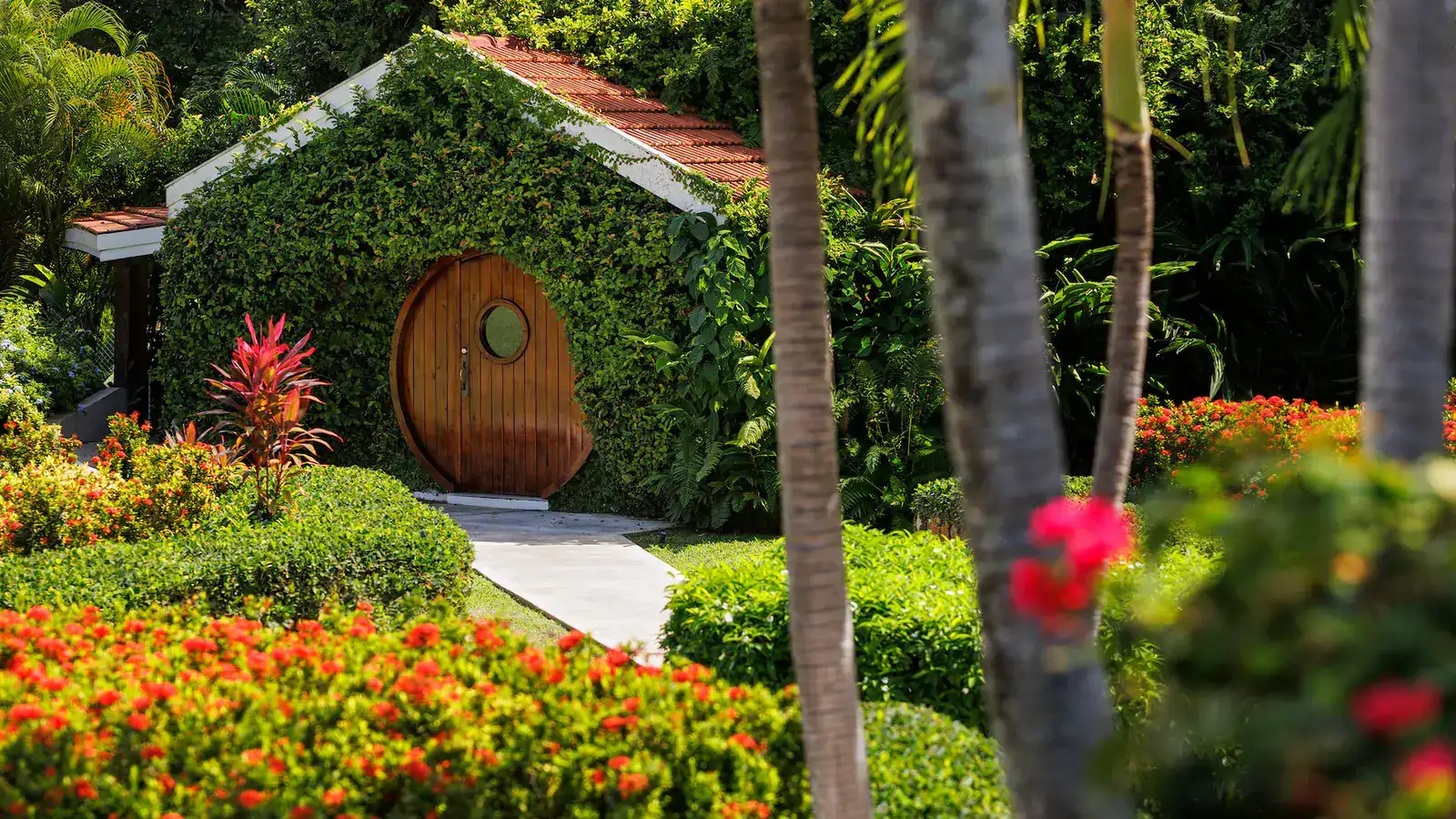 A lush tropical garden at a luxury resort, shaded paths with tropical plants, a calm hillside pool.